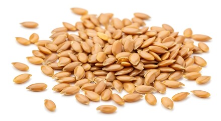 Pile of raw wheat grains isolated on white background