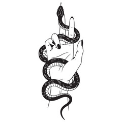 Fototapeta premium Snake Wrapped Around Hand, Symbolizing Power and Mysticism