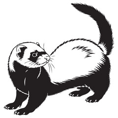 Stylized Black and White Illustration of a Ferret