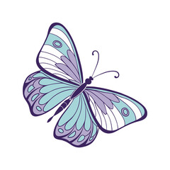 Violet and Blue Decorative Butterfly Vector Illustration