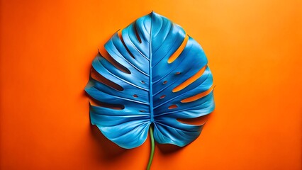 Vibrant blue monstera leaf against a bright orange background