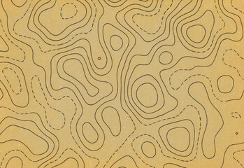 Fototapeta premium Abstract topographic contour lines on textured beige paper, resembling a vintage map with organic shapes and subtle shadows, a decorative cartography-inspired pattern