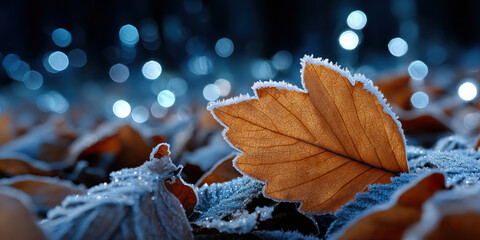 Frosted brown leaf with crystalline ice edges on frosty ground, soft bokeh lights and cool blue tones conveying quiet winter stillness and delicate texture