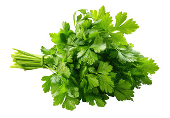 Fresh Parsley Bunch