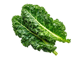 Close-up of two vibrant green kale leaves.  Dark, deeply veined leaves with a slightly ruffled texture.  Healthy and fresh, featuring a rich green hue