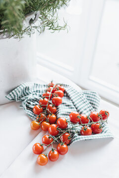saftige tomaten auf  gr&uuml;n kariertem tuch