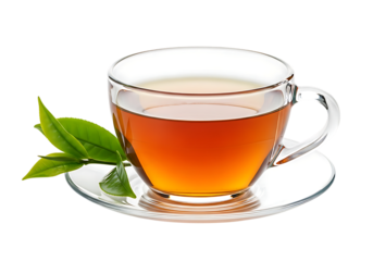 A clear glass cup filled with hot amber tea and fresh green tea leaves on a saucer isolated on transparent background