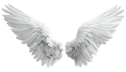 Obraz premium Pair of large, detailed white angel wings, spread wide (1)