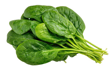 Fresh spinach leaves, vibrant green, wet with water droplets,  close-up view