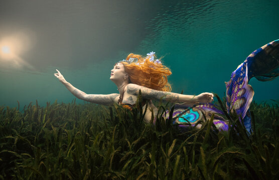 Side view of a beautiful mid adult woman with a butterfly pattern mermaid tail swimming along the ocean floor