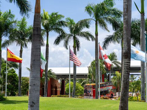 Palm Trees and Flags at Barcelo Maya Beach, Solidaridad