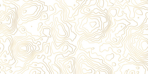 Elegant abstract topographic contour line pattern in soft gold on white background. Minimal luxury design ideal for wallpapers, branding, packaging, textiles, maps, and modern decorative visuals.