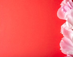 Elegant Pink Tulips on Vibrant Red Background for Floral Design.