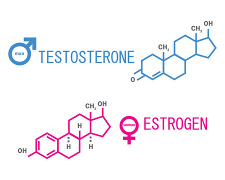Sex hormones molecular formula:  Testosterone and Estrogen. Hormones Vector illustration