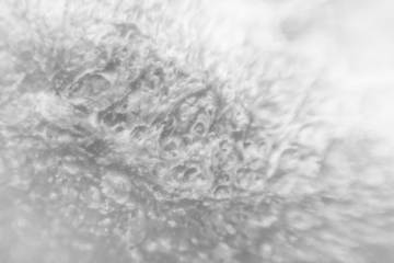 transparent abstract texture for photography effect