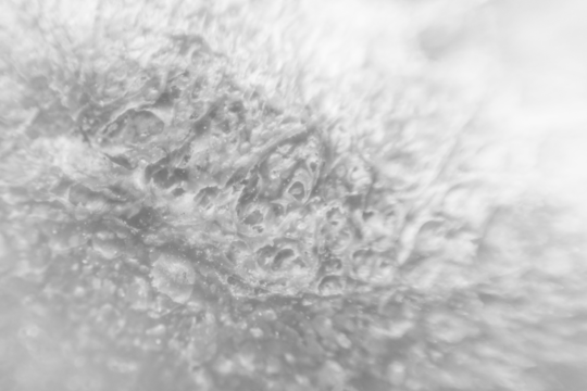 transparent abstract texture for photography effect - Powered by Adobe