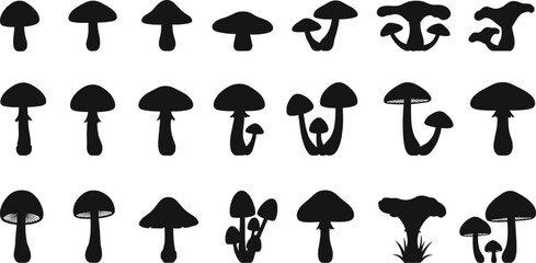 Mushroom silhouette collection, diverse caps and stems, single and clustered forms, gill detail variations, botanical mycology vector set, editable, flavector