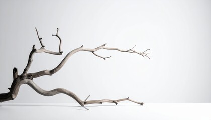 Branch with central branch image depicts branch featuring smaller branch originating from central section