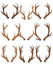 Naklejka premium Cartoon-style collection of deer antlers in varied shapes and sizes