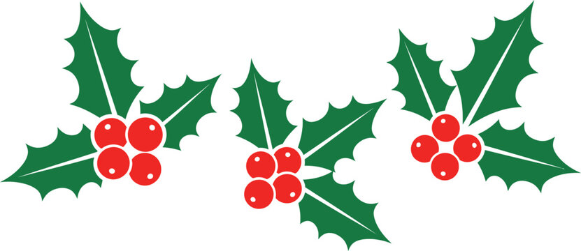 Christmas holly berries. Holly berry Christmas icon and mistletoe leaf decorative vector illustration design 