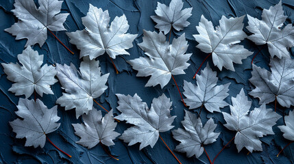 Silver maple leaves arranged on a textured dark blue surface.