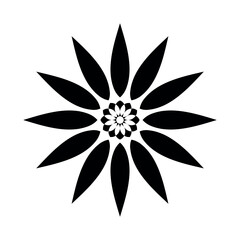 A symmetrical floral design with alternating black and white petals radiating from the center point