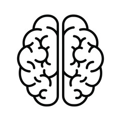 Top view line art illustration of a human brain