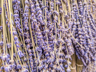 Group of lavender flower bouquets