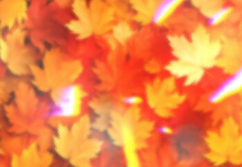 Close up of vibrant autumn maple leaves in warm orange and yellow tones with soft sunlight and dreamy bokeh, creating a cozy seasonal atmosphere ideal for fall marketing visuals