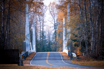 Bridge in autumn