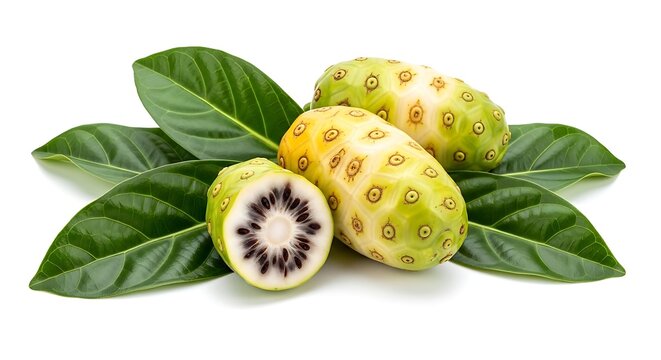 Fresh noni fruit with green leaves isolated on white background