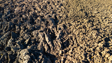 The soil surface displays a rich texture of freshly plowed earth, illustrating the preparation for planting crops. This earthy setting suggests agricultural activities in spring.