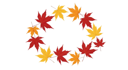Isolated wreath of fall maple leaves, foliage in red, orange and yellow, Autumn decoration