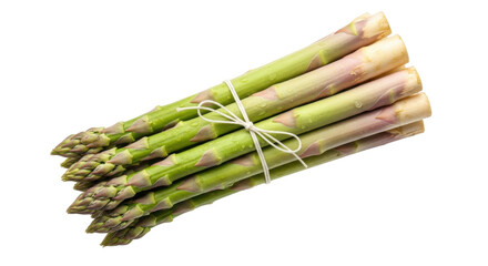 Isolated asparagus bundle ready for cooking, tied with string, fresh, delicious foodstuff