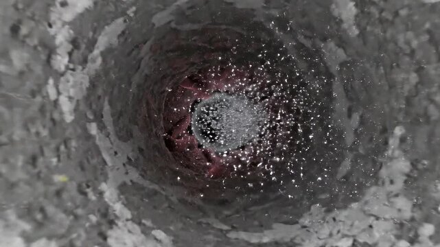 Detailed microscopic view inside a biological vessel with red and gray organic tissue and internal fluid flow