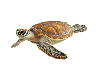 Fototapeta premium Sea turtle swimming gracefully through clear blue waters near a coral reef during a sunny day