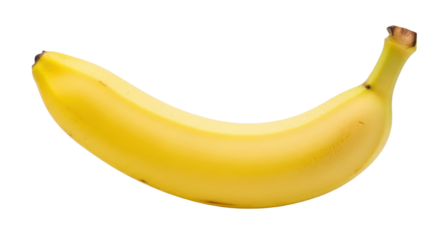 Isolated yellow banana, a common tropical fruit enjoyed as a snack, dessert or ingredient