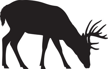 Black silhouette of a buck deer with antlers grazing on a white background vector
