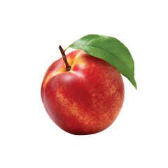 Single ripe, red-orange nectarines, with a green leaf