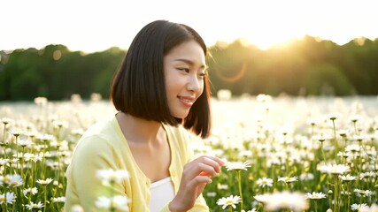 Woman touches flower daisy in field. Hand cradles petal near yellow cardigan sleeve. Smile on face. Hair frames profile under sunlight. Dainty white petal contrasts with green stem across meadow.