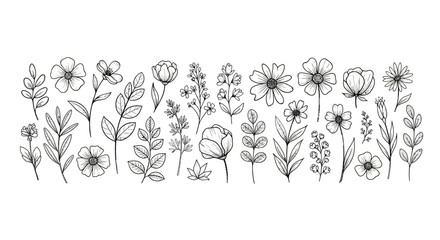 Set of Hand Drawn Botanical Illustrations of Flowers and Plants