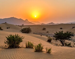 Desert landscape bathed in golden sunset glow, with dunes and sparse vegetation