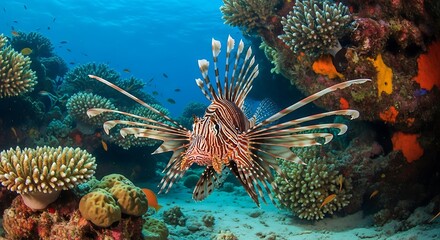 Lionfish Amidst Coral Reef - A Vibrant Underwater Scene.