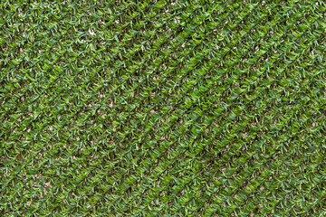 Artificial green grass pattern texture on wall of vertical garden background