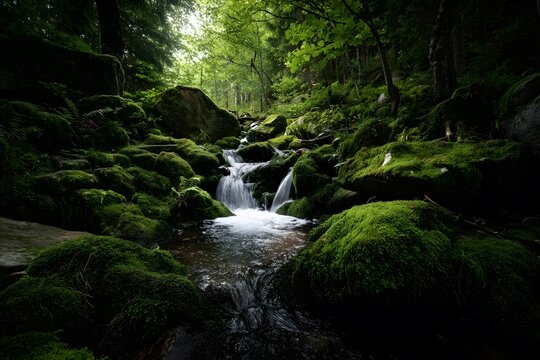 A small waterfall flows over moss-covered rocks in a forest. - Powered by Adobe