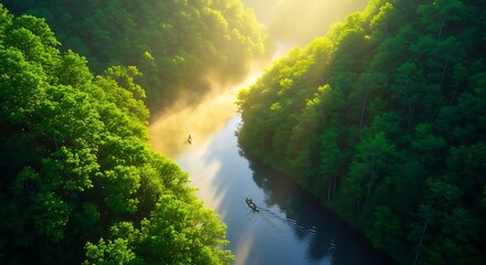 Aerial view of lush green canyon river with sunlight