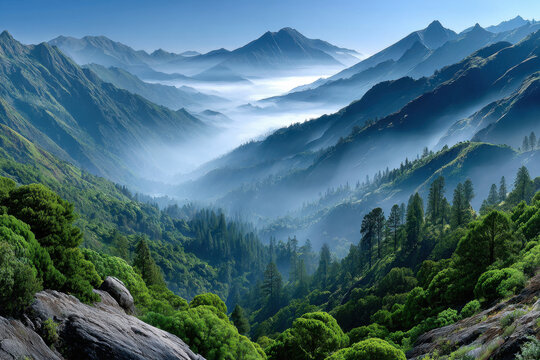 Misty Mountain Valley with Lush Green Forest