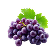 Fototapeta premium Fresh Ripe Purple Grapes