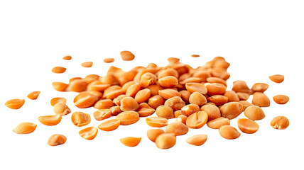 Apricot kernel showing natural brown seed with hard shell texture used for oil and health benefits, isolated on white background