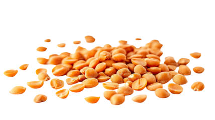 Apricot kernel showing natural brown seed with hard shell texture used for oil and health benefits, isolated on white background